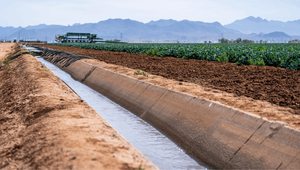 Understanding Coagulants For Irrigation Water 