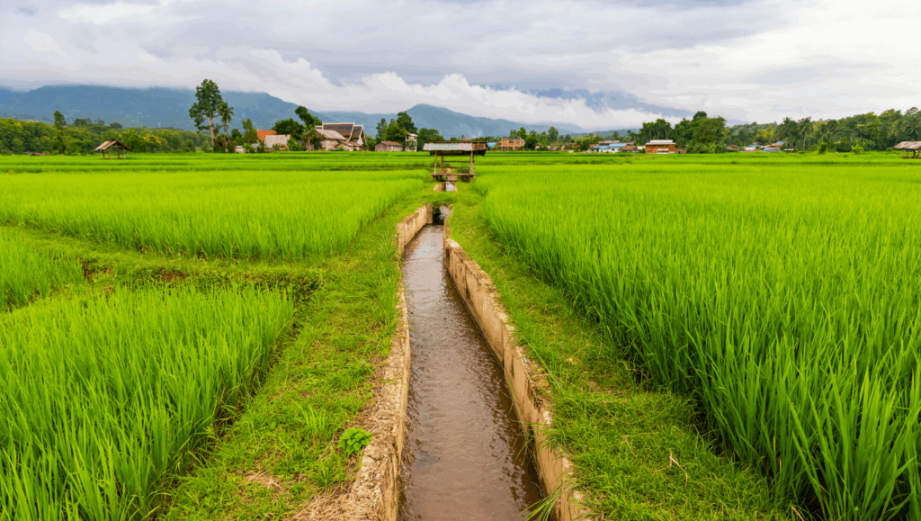 Challenges In Water Reuse For Agriculture 